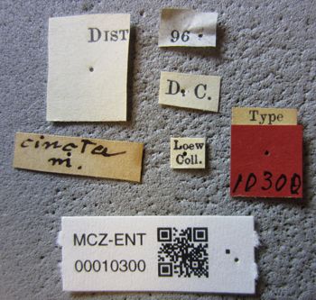 Media type: image;   Entomology 10300 Aspect: labels